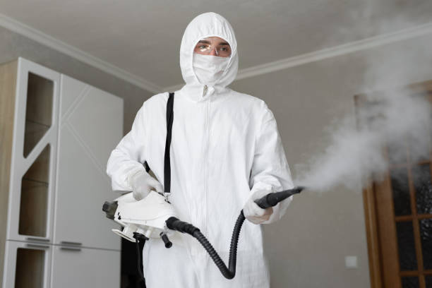 Best Mold Prevention Services in Concord, CA